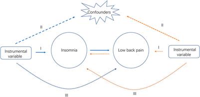 Association of insomnia and <mark class="highlighted">daytime sleepiness</mark> with low back pain: A bidirectional mendelian randomization analysis